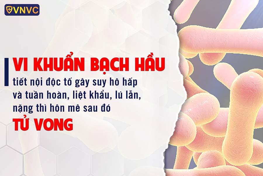 Vi khuẩn bạch hầu gây suy hô hấp và tuần hoàn, liệt khẩu, lú lẩn, có thể dẫn đến tử vong