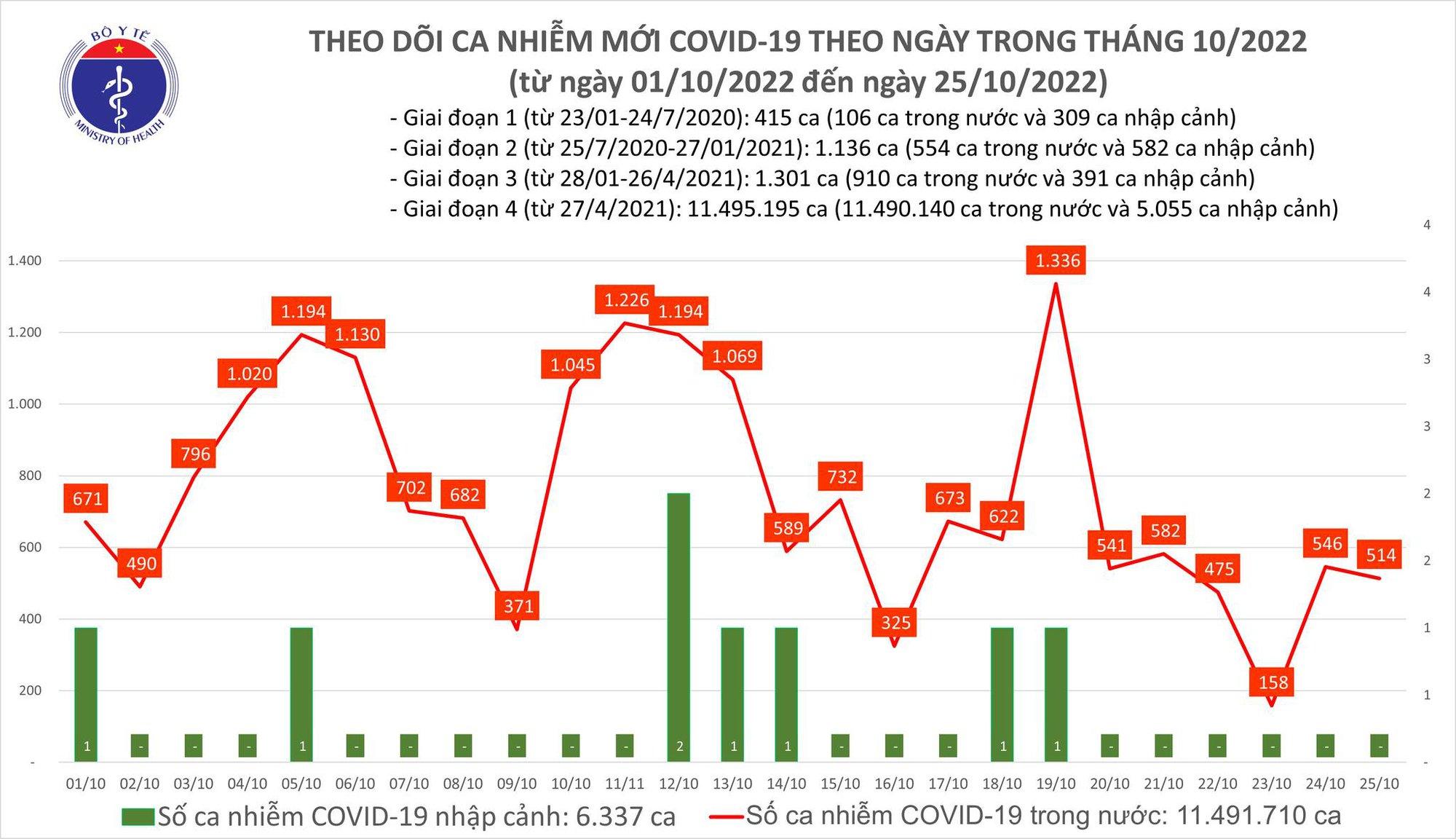 Ngày 25/10: Ca mắc COVID-19 mới vượt mốc 500, bệnh nhân nặng tăng lên - Ảnh 2.